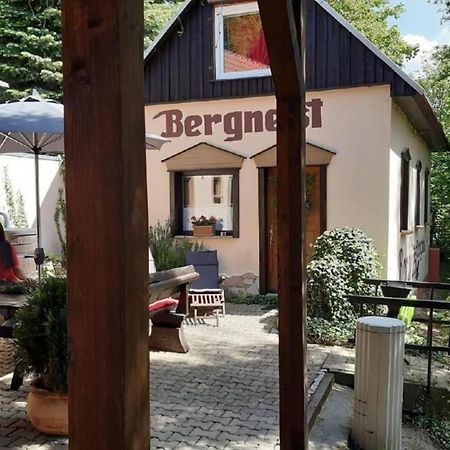 Bergnest Bungalow Bad Gottleuba Dış mekan fotoğraf
