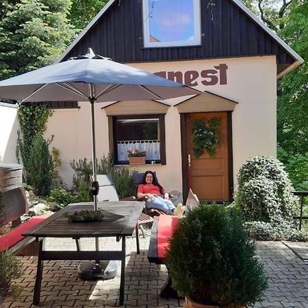 Bergnest Bungalow Bad Gottleuba Dış mekan fotoğraf